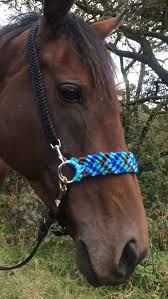 Check spelling or type a new query. Outdoor Sports Flat Braided Reins Western Paracord Rein Horse Tack Kelly Green Rein Sporting Goods
