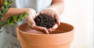 La pila es demasiado seca o tiene muy poco oxígeno. Como Hacer Compost O Abono Casero