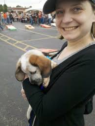 Archer's traumatic day at work and vet issues