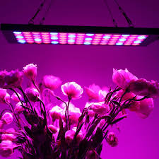 1000w led flowering grow lights. Grow Light 1000w Led Hydroponic Plant Growing Led Lights Dublin