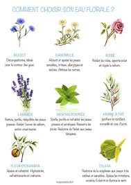 Qu Est Ce Qu Une Eau Tonique Ce Bonheur Pour Ma Peau Le Blog Du Repere De Blondie Eau Tonique Produits De Beaute Faits Maison Produits De Beaute