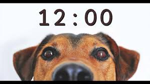 Set timer for 12 minutes. 12 Minute Timer For Powerpoint And School Alarm Sounds With Dog Bark Youtube
