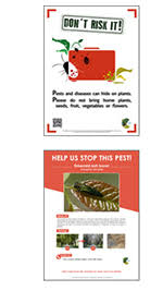 The program outlined in these standards is designed to meet these requirements. Eppo Activities On Plant Quarantine