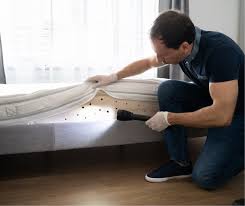 herbal pest control services