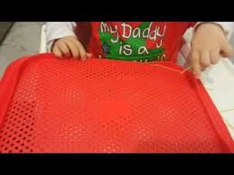 Makarna Gecirme Montessori Makarna