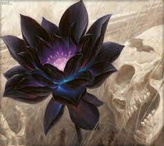 Black Lotus Flower Google Search Lotus Art Black Lotus Tattoo Flower Tattoos