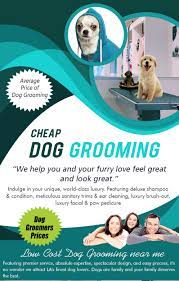 We did not find results for: Good Groomers Near Me Cheap Buy Online