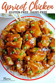 Gluten Free Asian Apricot Chicken Recipe In 2020 Free Chicken Recipes Dairy Free Recipes Dinner Gluten Free Dairy Free Recipes