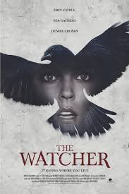 Pin By Jerseydee Fago On Movie Night Every Night Lifetime Movies Thriller Movies Horror Movies