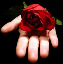 Resultado de imagem para imagens para postar  amor