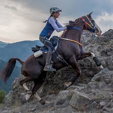 Hand tooled western cow hide genuine leather horse saddle bag size 12lx11wx3d. Ultralight Saddle