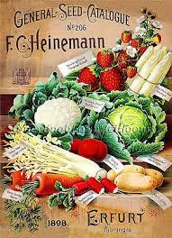 Heinemann 1898 Vegetable Vintage Seed Catalog Cross Stitch Pattern Vintage Vintage Bilder Poster Kuche