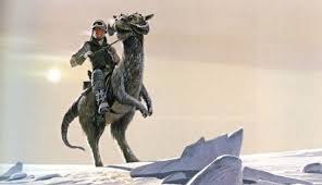 Tauntaun Ralph Mcquarrie Star Wars Star Wars Art Star Wars Artwork Star Wars Concept Art