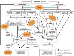 This luminaire is the best choice for clients who want to make a design statement with their lighting. Complications Of Diabetes Mellitus An Overview Sciencedirect Topics