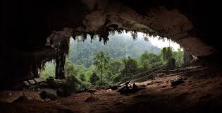 Bird S Nest Soup National Parks Gunung Mulu National Park Sarawak