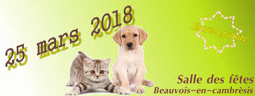 Thousands of pets, attractions and gifts for kids, dozens of breeders and lots of activities! Salon Des Animaux De Refuges Et Associations Home Facebook