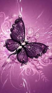butterfly butterfly wallpaper purple butterfly butterflies vector