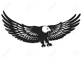Vector Elegant Flying Eagle Silhouette Royalty Free Cliparts Vectors And Stock Illustration Image 49313347 ✓ free for commercial use ✓ high quality images. vector elegant flying eagle silhouette
