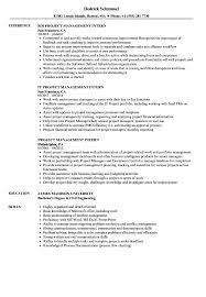 Roles and responsibilities during a project manager internship. Project Management Intern Resume Samples Velvet Jobs