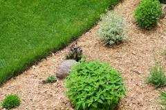 30 Budget-Saving and Creative Garden Edging Ideas