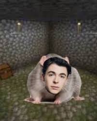 Image result for tbn:and9gcrrphfqk2htxoeugy-e_drtm4nbtknhjyctgyumwmh9ojfpembyvncycz8