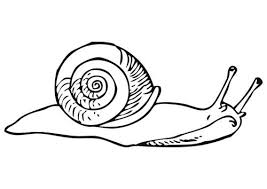 Dessin hugo l'escargot gratuit / 15 meilleures images du tableau coloriage éducatif. Epingle Par Erica Sur Animal Coloriage Coloriage Hugo L Escargot Coloriage Animaux