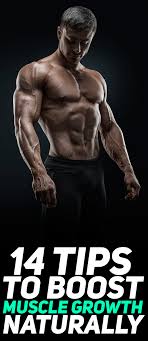 14 tips to stimulate fast muscle growth naturally フィットネス 筋肉 腕 筋肉