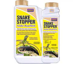 Haven't really tried electronic pest controllers but i think they must work on some or all pest especially ants i've noticed when their on my counter and i cause a vibration they instantly run. 7 Best Lizard Repellents 2021 Updated Smart Tips And Solutions