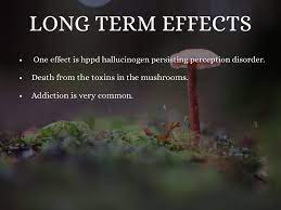 Psilocybin Mushrooms By Tyler Durham