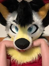 What made you a furry? : rfursuits