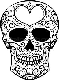 Reprinted fringe design by tomas. Sugar Skull Isolated On White Stock Vector Colourbox