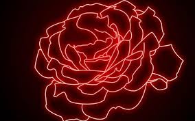 Mar 27, 2020 · confused what aesthetic fashion you belong in? Hd Roses Neon Black Wallpapers Peakpx