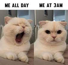 15 Relatable Getting Older Memes That Poke Fun At The Realities Of Aging Care Com Resources