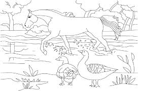 Pintar membaca dan menulis huruf k; Lomba Mewarnai Anak Kecil