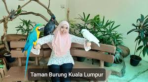 You can click these links to clear your historyor disable it. Aktiviti Menarik Di Taman Burung Kuala Lumpur Qisstiera