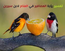 2.7 رؤية الذهب في المنام فهد العصيمي. Ù…Ø§ ØªÙØ³ÙŠØ± Ø±Ø¤ÙŠØ© Ø·Ø§Ø¦Ø± Ø§Ù„Ø­Ø³ÙˆÙ† ÙÙŠ Ø§Ù„Ù…Ù†Ø§Ù… OÂªu O Uso O O Uso C O U O Uso U Us O U U U O U U O O U O Uso Usu OÂªo Usu O O OÂª ØªÙØ³ÙŠØ± Ø±Ø¤ÙŠØ© ÙˆØ­Ù„Ù… Ø§ÙƒÙ„ ÙˆØ´Ø±Ø§Ø¡ ÙˆØµÙŠØ¯ ÙˆÙ…Ù„Ø§Ø­Ù‚Ø© Ø§Ù„Ø¶Ø¨ ÙÙŠ Ø§Ù„Ù…Ù†Ø§Ù… Nicolette Miramontes
