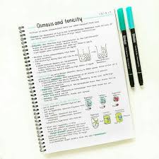Pin By L On Study Notes Science Notes Biology Notes School Study Tips