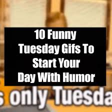 See more ideas about tuesday quotes, tuesday quotes funny, tuesday humor. 10 Funny Tuesday Gifs To Start Your Day With Humor