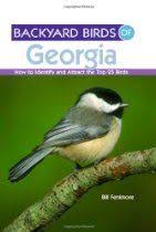 Identification Birds Of Prey In Georgia Backyard Birds Of Georgia How To Identify And Attract The Top 25 Birds Birds Of Georgia Backyard Birds Birds