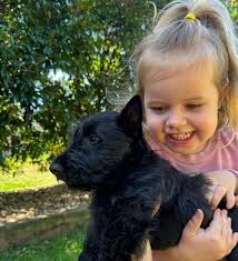 We had an amazing experience with Paul Tene . he was incredibly supportive  and knowledgeable, guiding us through every step with such patience and  care. It was evident that he truly cares