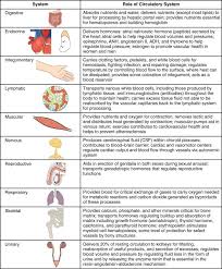 Organ System And Function Chart Bedowntowndaytona Com