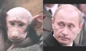 "Экономика России вышла на траекторию достаточно устойчивого роста", - Путин - Цензор.НЕТ 7399