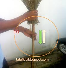 Ikan sapu sapu ini juga termasuk dalam jenis ikan air tawar, ikan sapu sapu ini sangat terkenal di kalangan para penghobi ikan hias sebagai ikan yang membersihkan. Cara Membuat Sapu Lidi Agar Mekar Lala Fido Prasetya