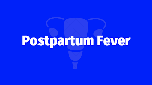 Image result for Postpartum Fever