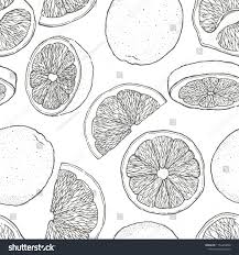 Black And White Outline Orange Clip Art Ink Hand Drawn Seamless Pattern Of Orange Fruit Food Element Collection Vintage Sketch Black Outline V In 2020 Pattern Sketch Silhouette Drawing Fruit Illustration