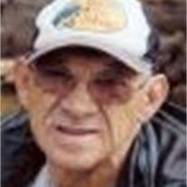 Bernard Meadows Obituary