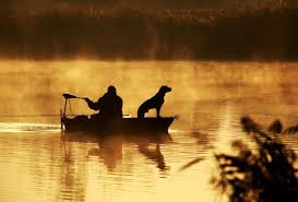 Unforgettable, inclusive pet friendly vacations. Enjoy Pet Friendly Cabins At Gaston S White River Resort