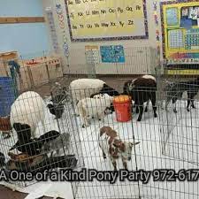 Mobile petting zoo gives your kids a fun and educational experience for any event where you want to mobile petting zoo. Mobile Petting Zoo A One Of A Kind Petting Zoo Dallas Fort Worth