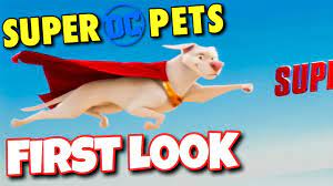 The show premiered on cartoon network on march 25, 2005, and aired on kids' wb in september 2006. Dc Super Pets 2022 First Look Teaser Of Krypto Youtube