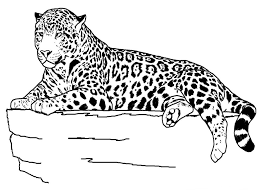 They are stunningly gorgeous animal, though wild and fierce. Cheetah Coloring Pages Free Printables Doraemon